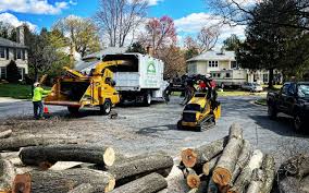 Best Storm Damage Tree Cleanup  in Westmoreland, TN